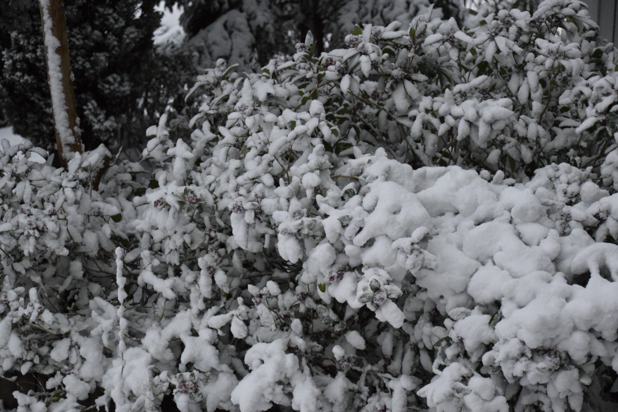 Met dit weer geen voetbal op Sportpark West